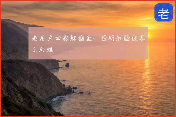 老用户回彩鲸捕鱼，密码和验证怎么处理